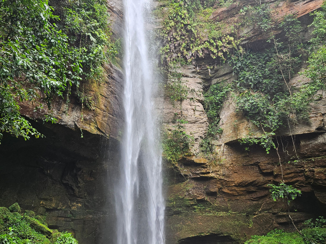 Escorrega Macaco Waterfall-Palmas必去景点