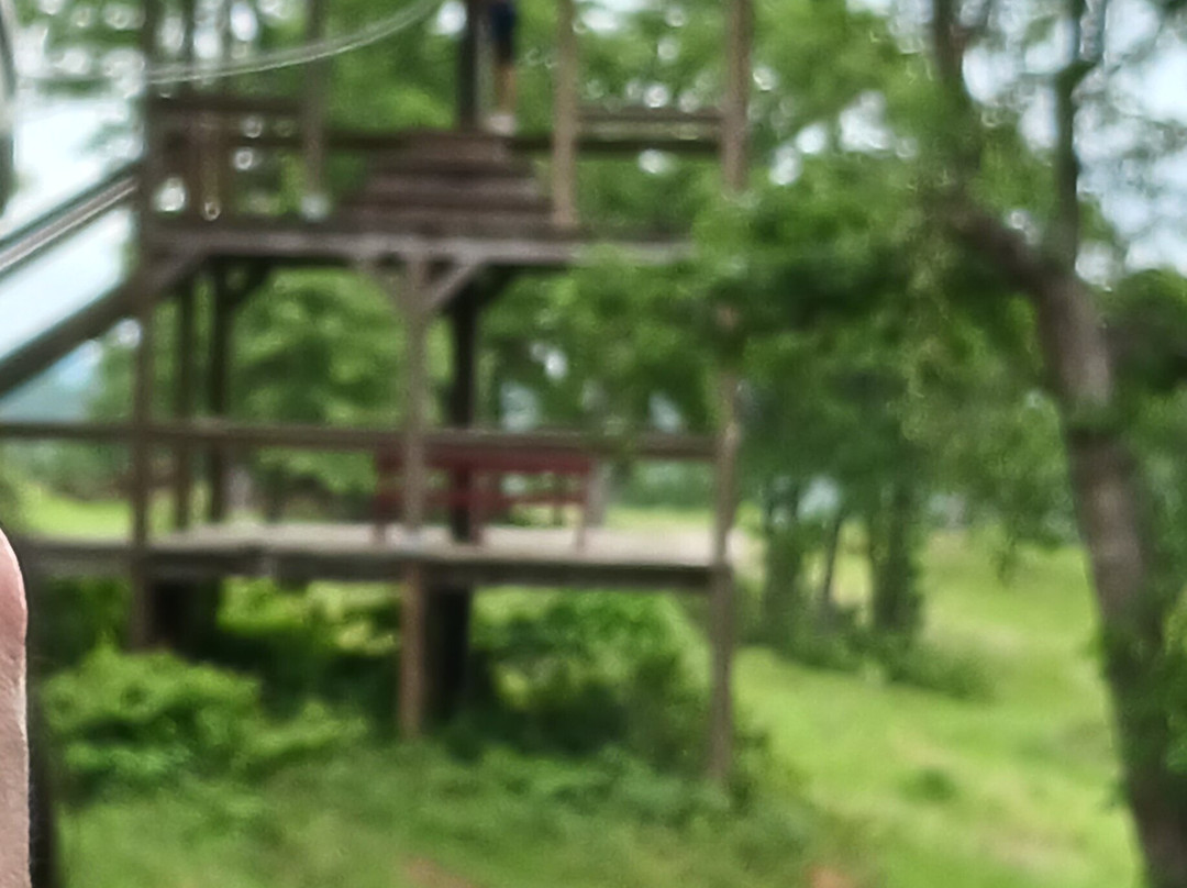 New York Texas Zipline Adventures-Larue必去景点