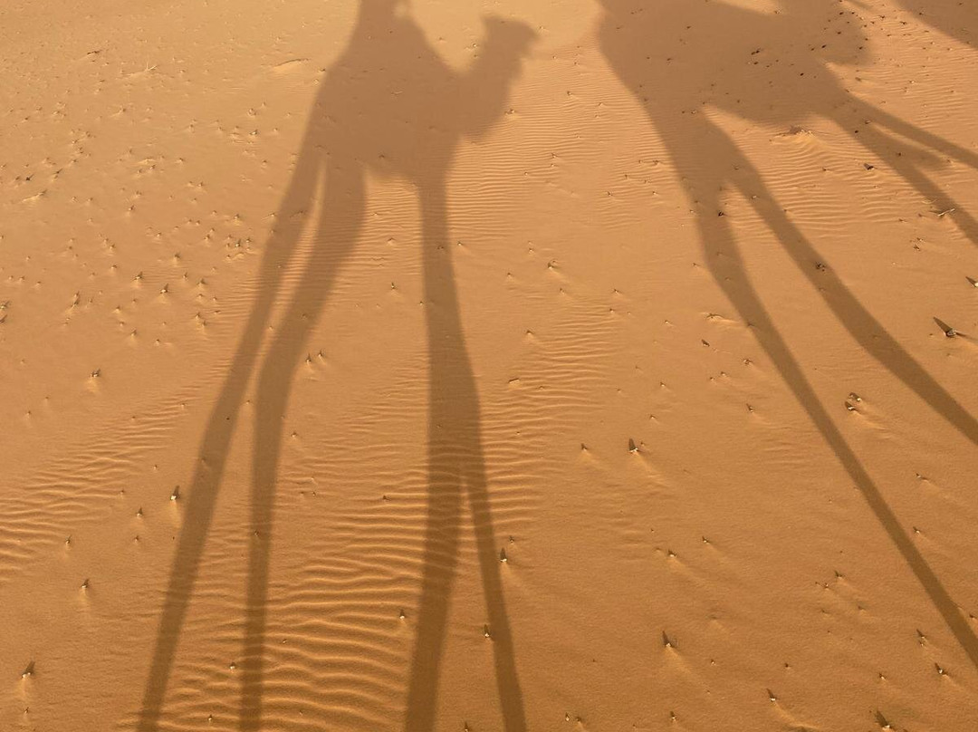 Fez Souks Tours-非斯必去景点