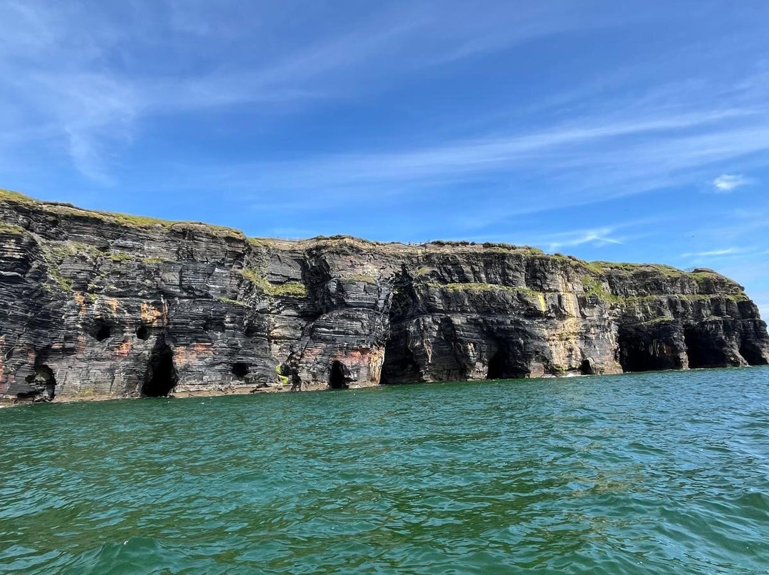 West Coast RIB Adventures-Kilrush必去景点