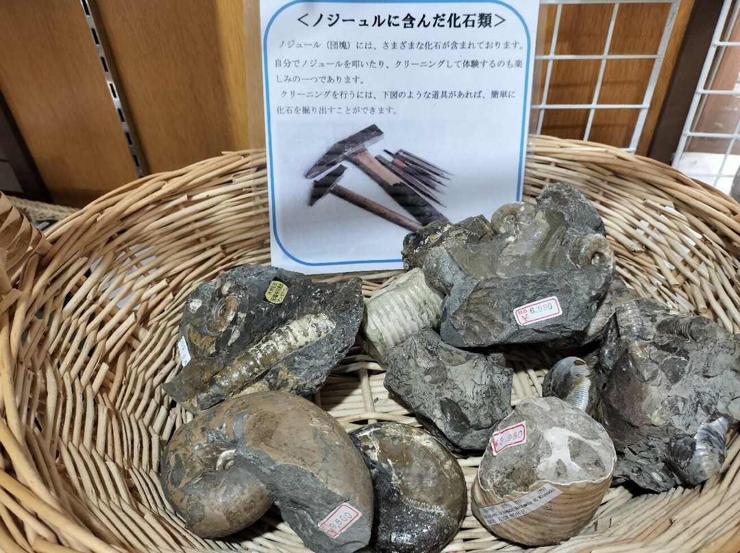 Michi-no-Eki Nakagawa-那珂川町必去景点