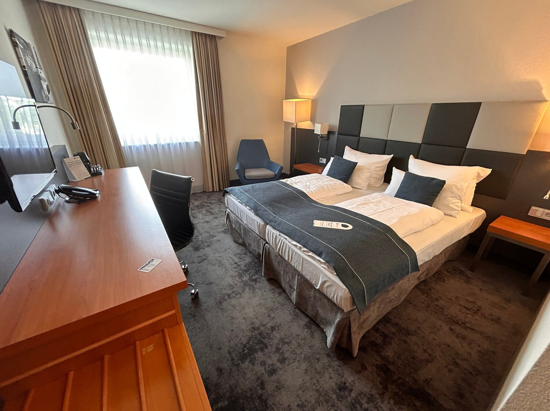 Select Hotel Ruesselsheim主图