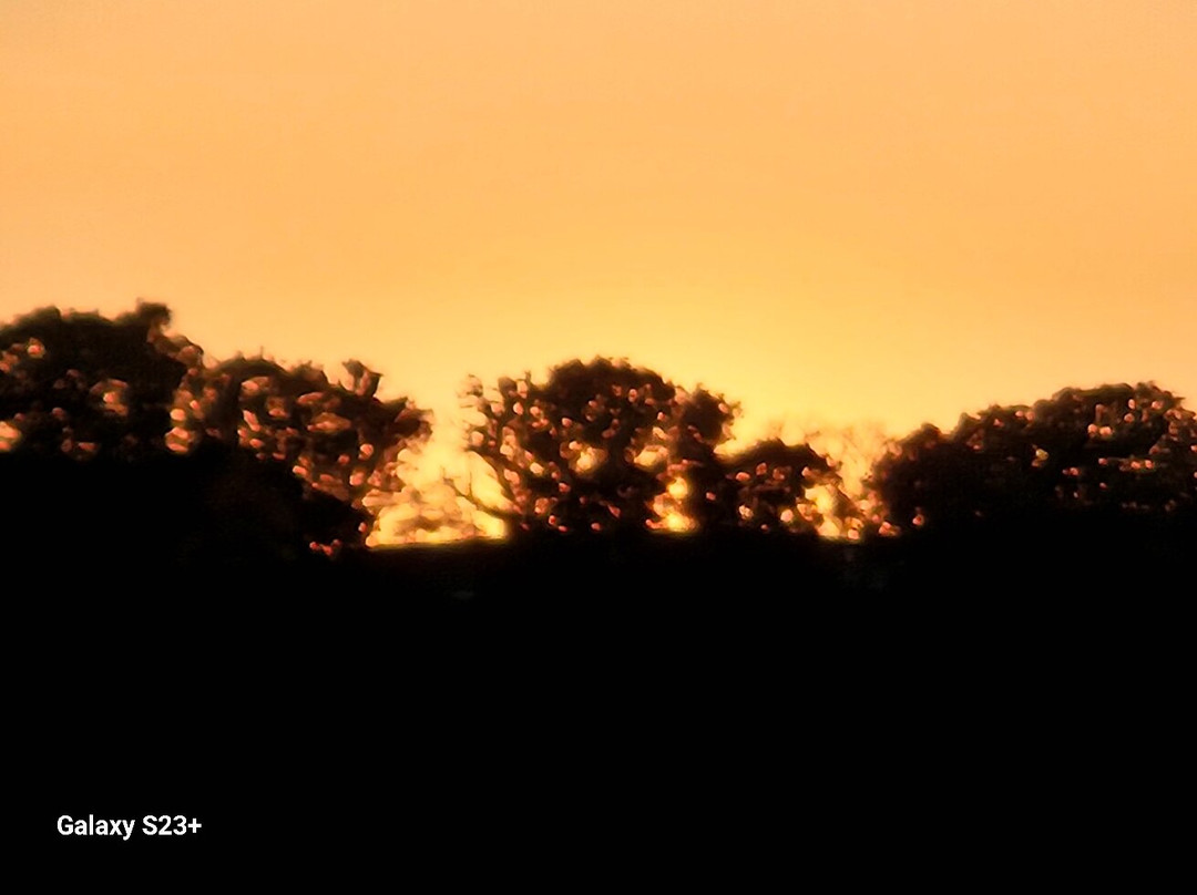 The Hotel at Cape Ann Marina主图