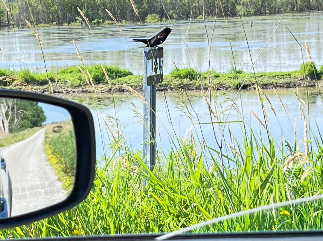 Shiawassee National Wildlife Refuge景点图片