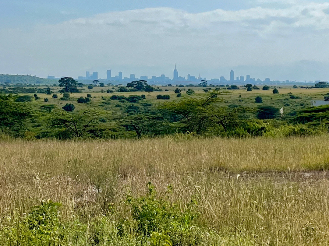 Nyati Hill Cottages主图