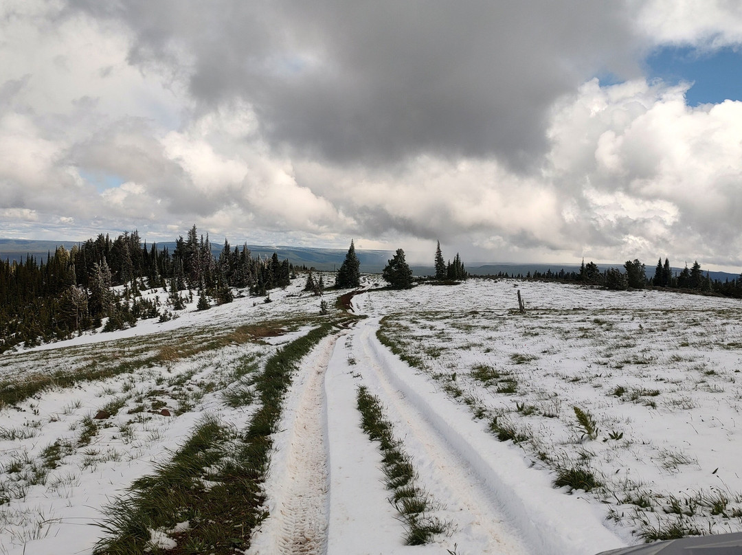 Yellowstone ATV-西黄石镇必去景点