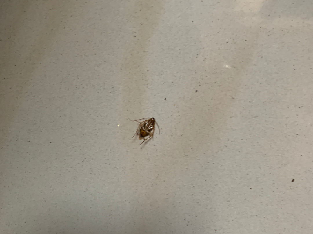 MB国际酒店主图