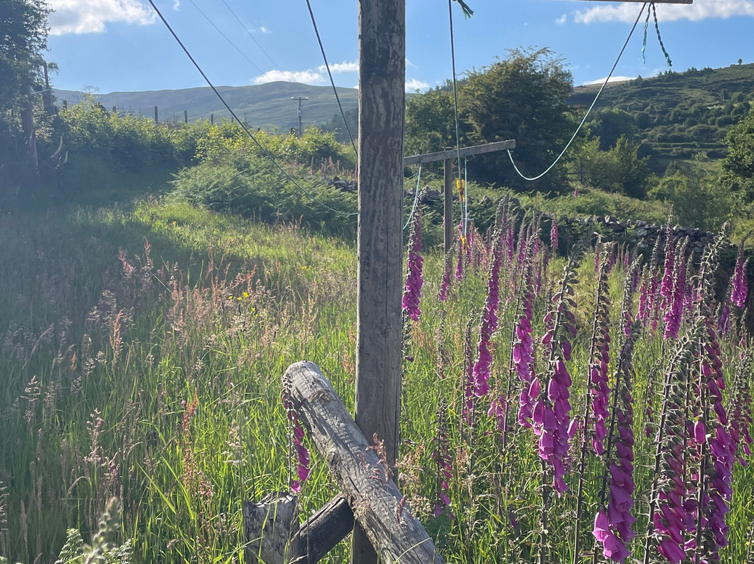 Wicklow Way Lodge主图