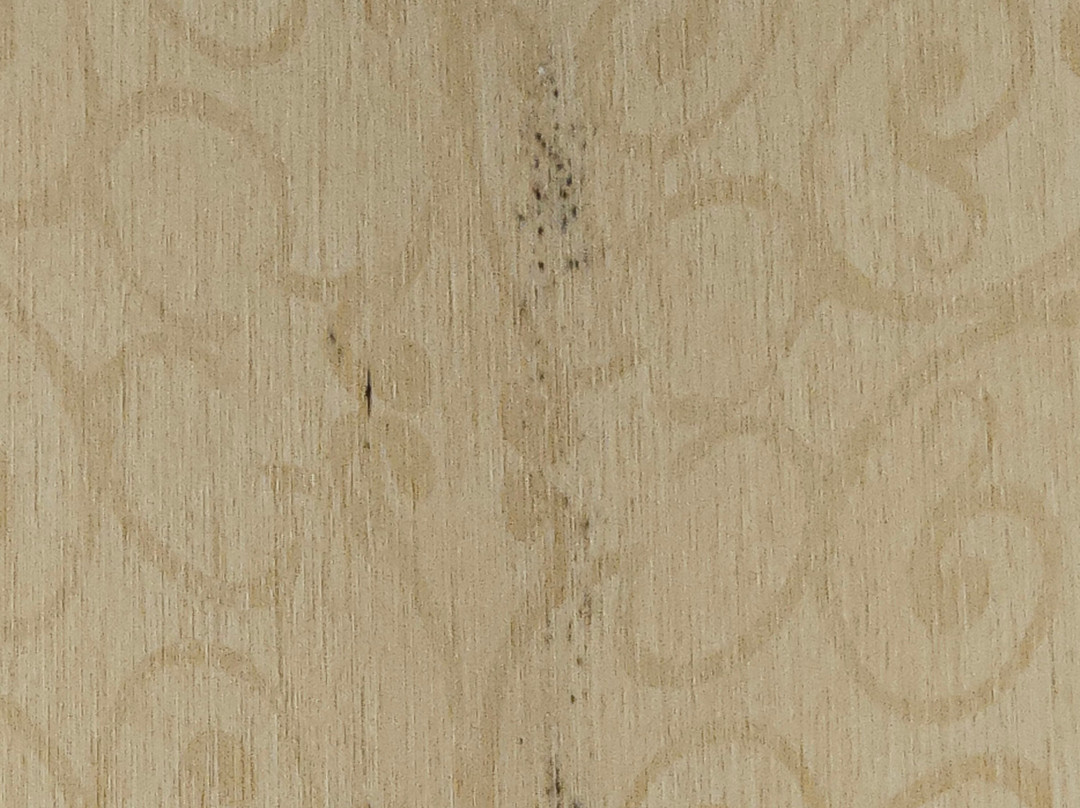 Hampton Inn & Suites Lino Lakes主图