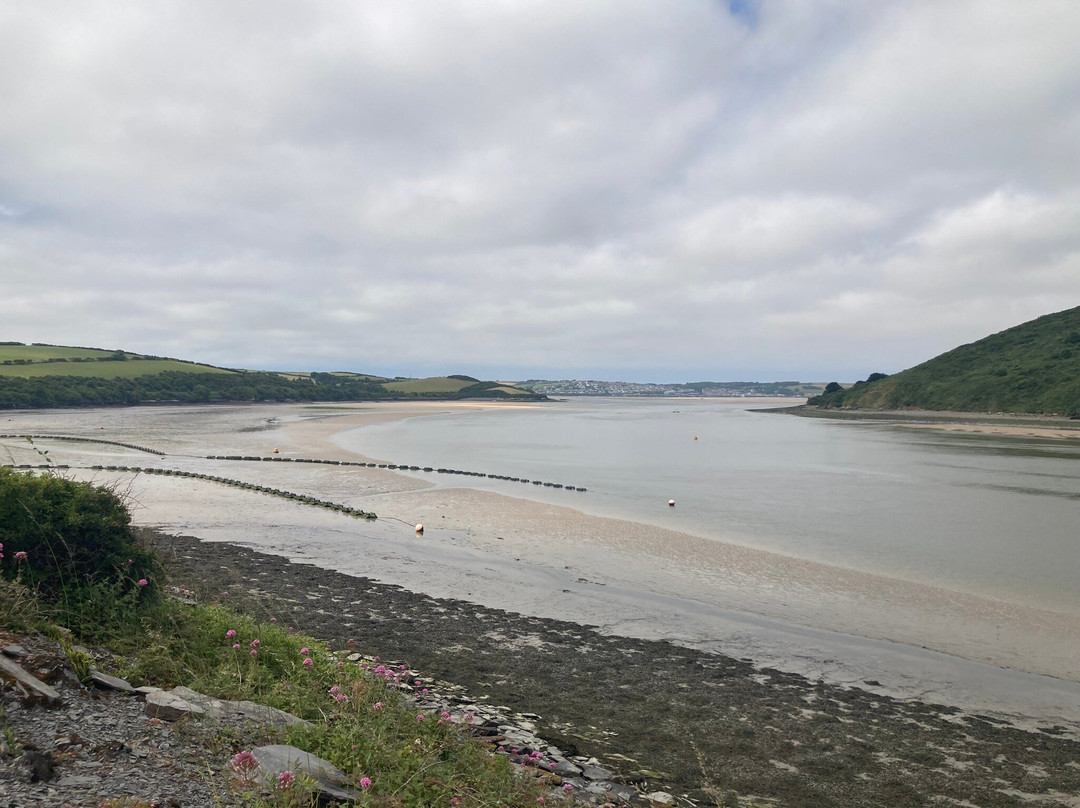 The Camel Trail