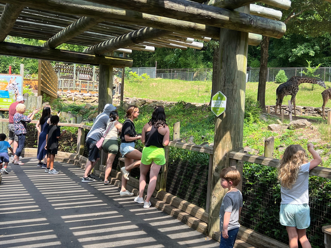 Greenville Zoo景点图片