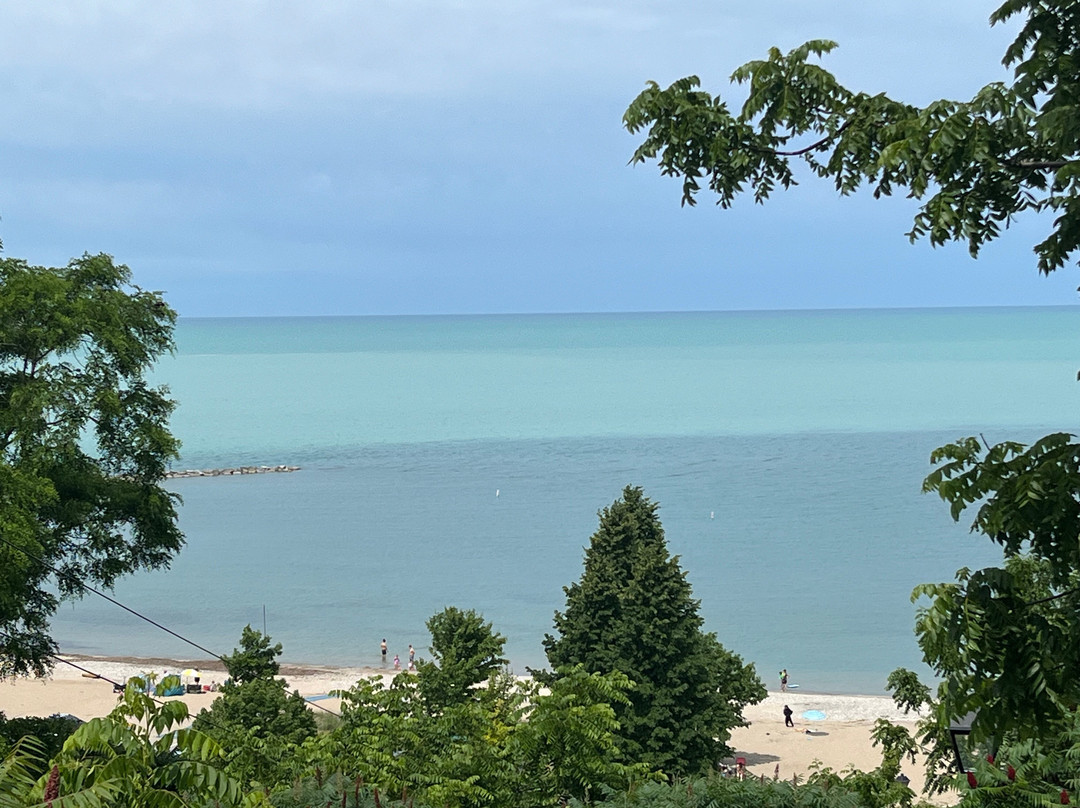 Cove Beach景点图片