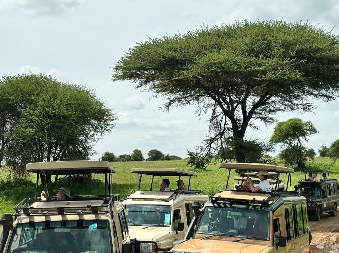 Elephanto Tours-莫西必去景点