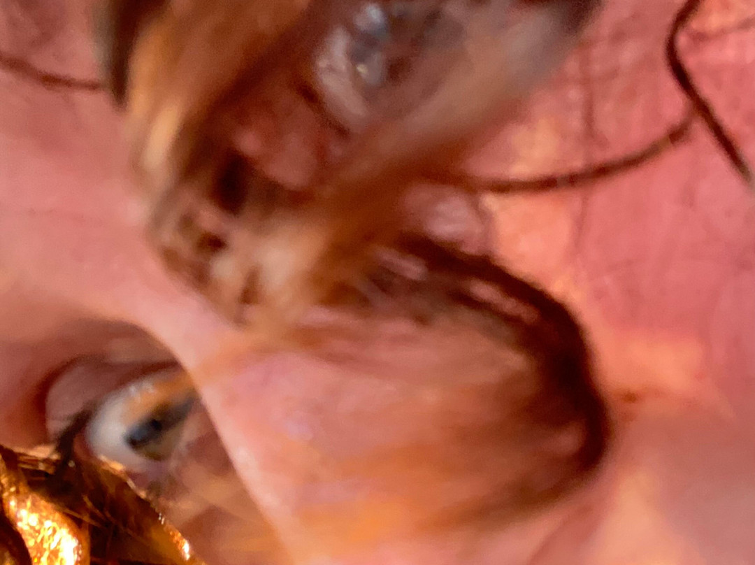 Voyager Deep Sea Fishing & Dolphin Cruises-美特尔海滩必去景点