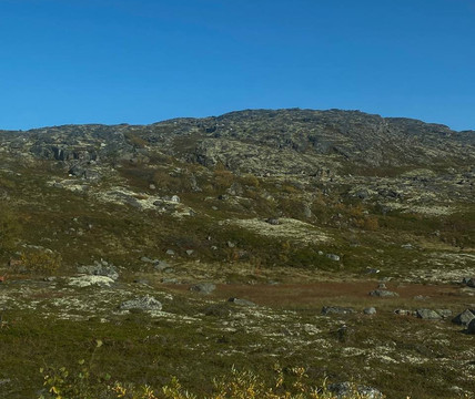 Andpersand-圣彼得堡必去景点