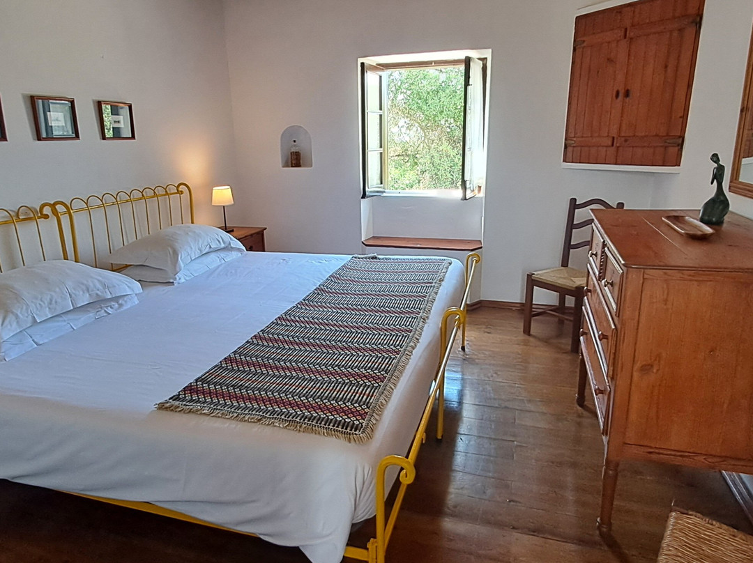 Monte do Papa Léguas主图