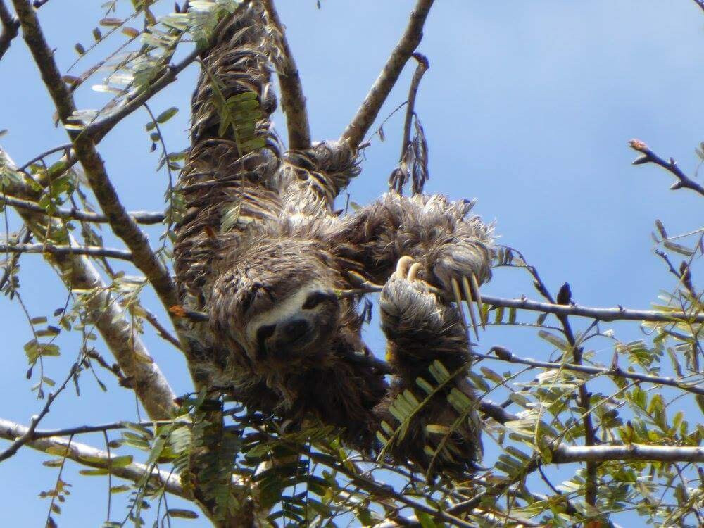 Kats Tours-巴拿马城必去景点