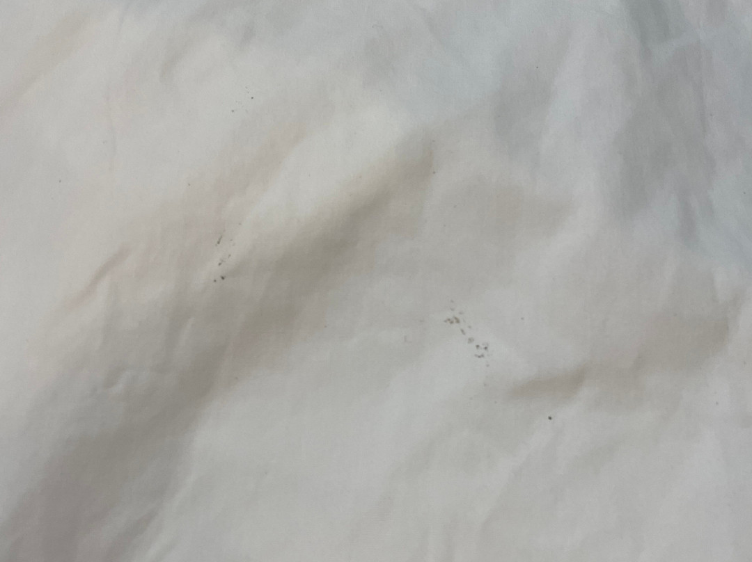 卡拉巴萨斯美好夜间旅馆主图