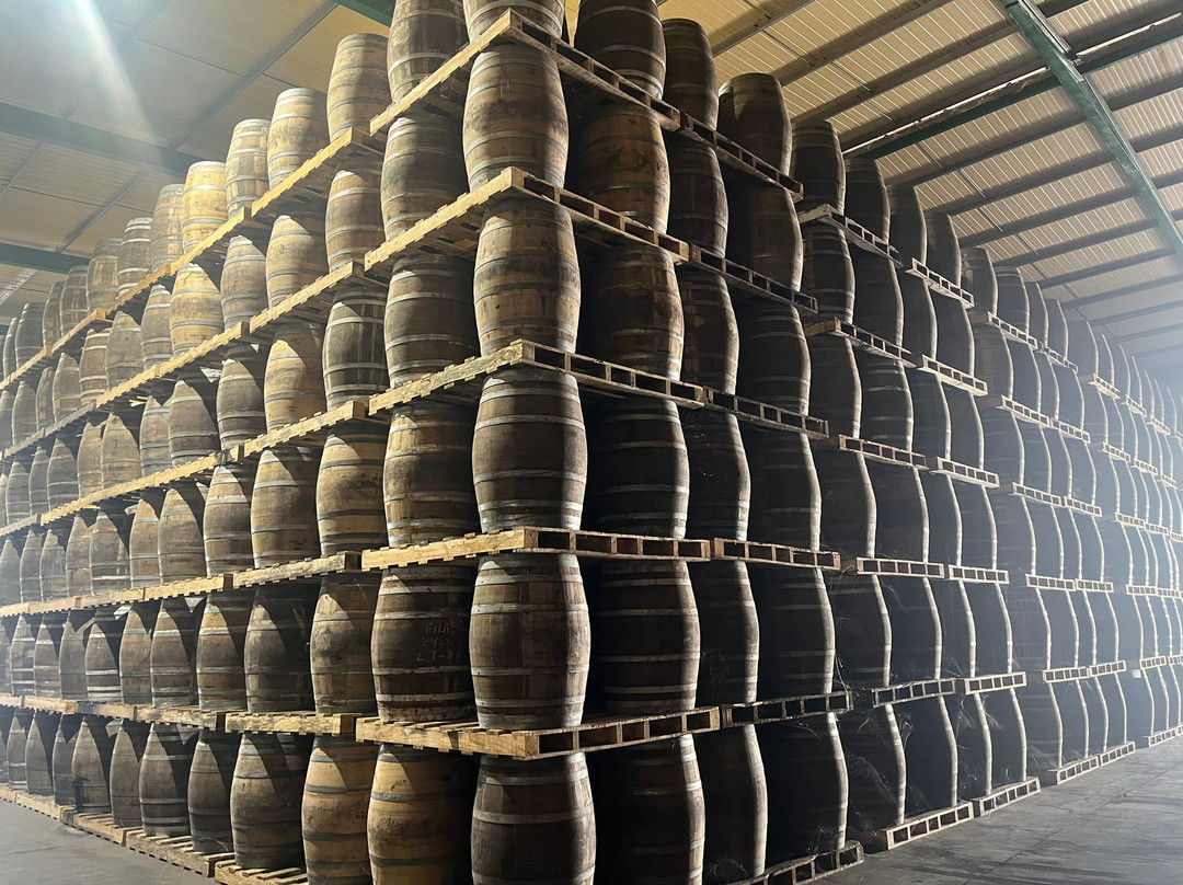 Bodegas Paez Morilla景点图片