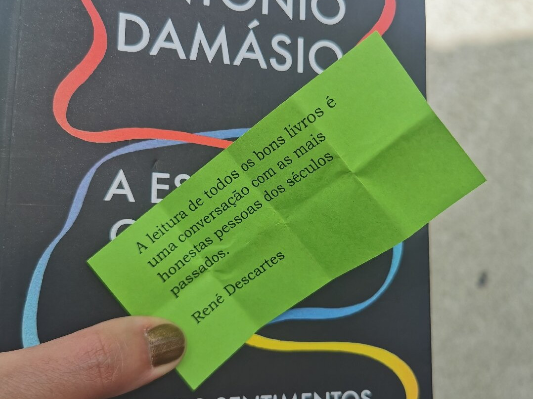 Deja Lu Bookshop-卡斯凯什必去景点