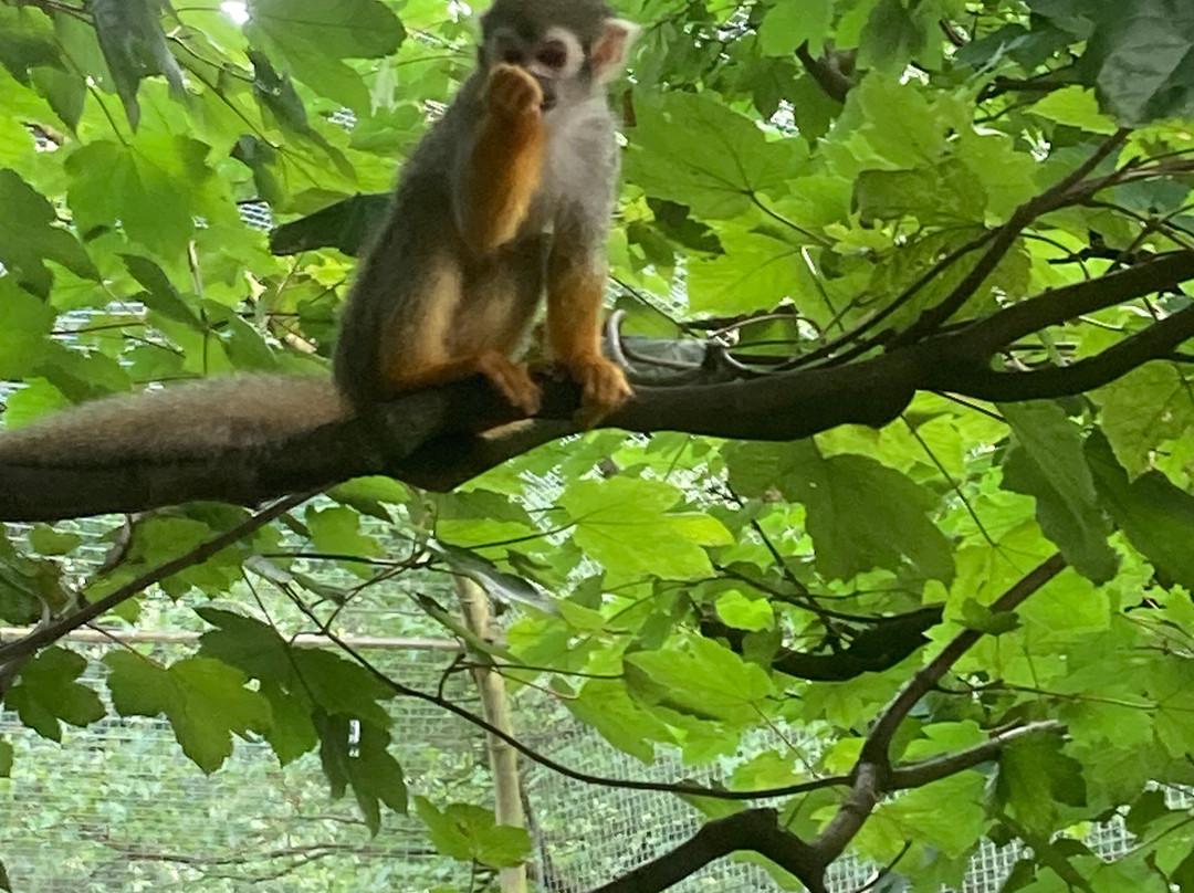 Tierpark Nordhorn景点图片