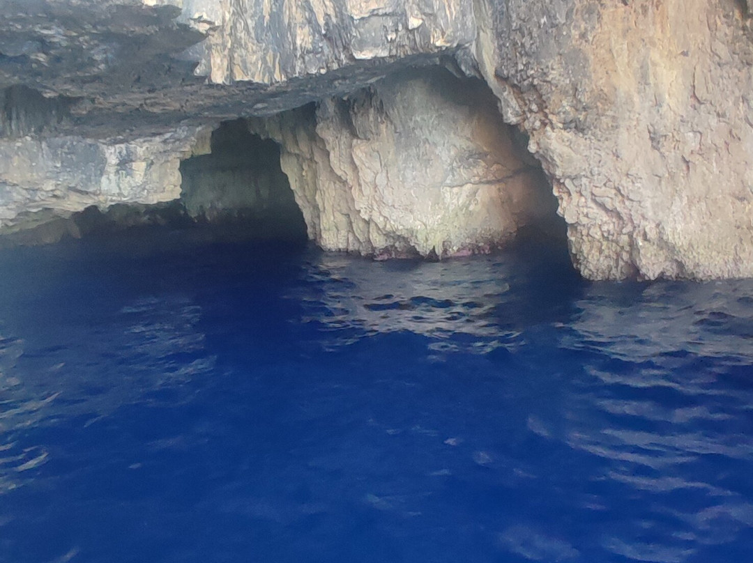 Glass Bottom Boat Poseidon Day Trips-赫索尼索斯必去景点