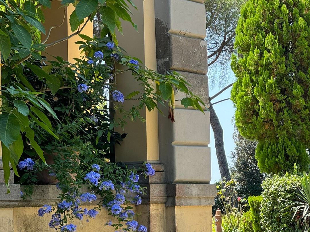 Fattoria Collebrunacchi-圣米尼亚托必去景点