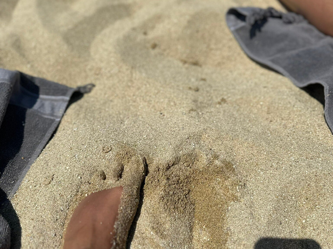 Aregno Beach-Aregno必去景点