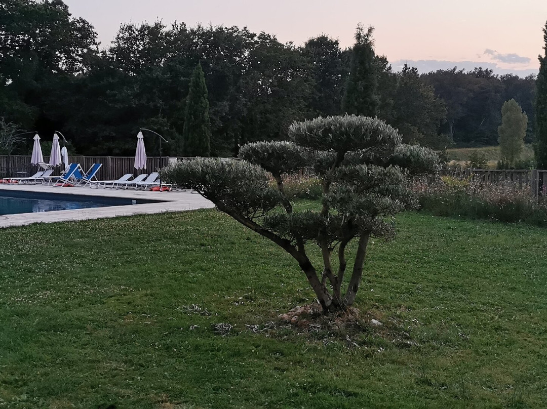 Domaine de Montboulard主图