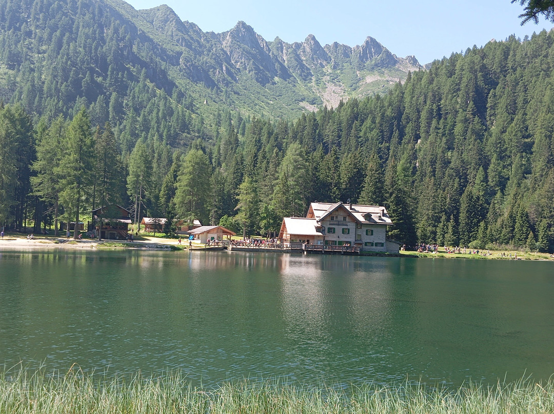 Experience Val di Sole景点图片