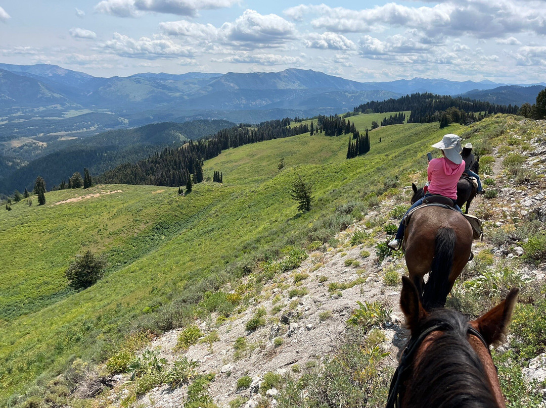 Jackson Hole Outfitters-Alpine必去景点