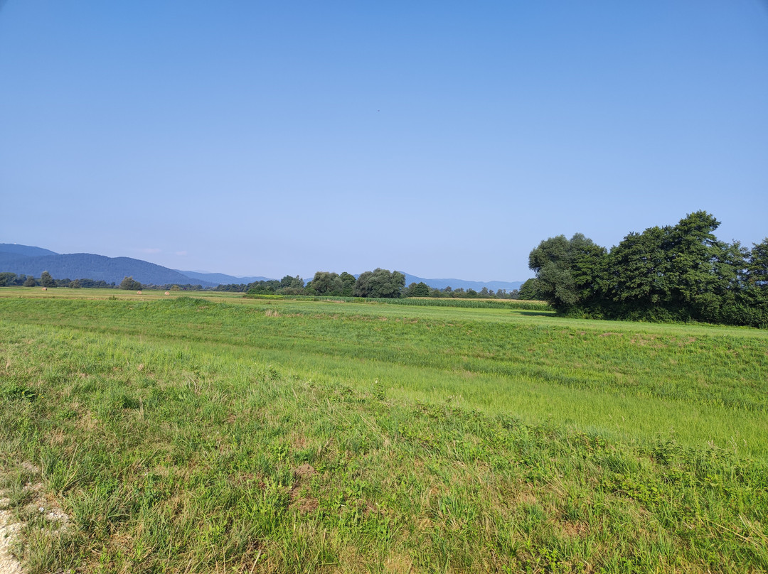 The Former Ljubljanica River Bed-Preserje必去景点