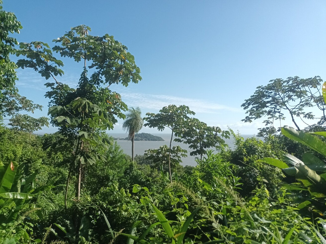 Sentier du Rorota-Remire-Montjoly必去景点