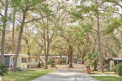 Clover Leaf Forest RV Resort