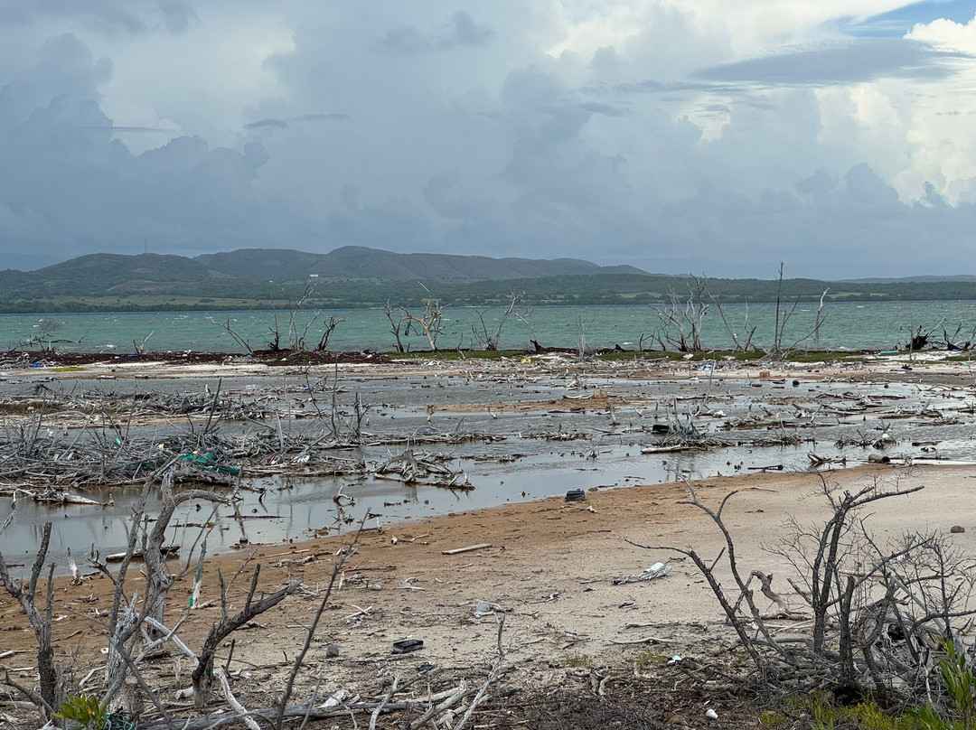 Salt Flats and Wildlife Refuge-Cabo Rojo必去景点