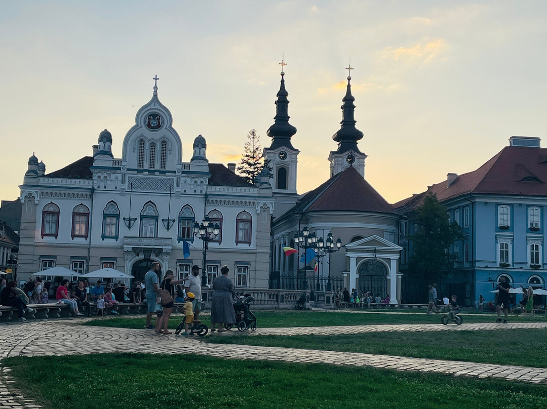 Timisoara Free Tours景点图片
