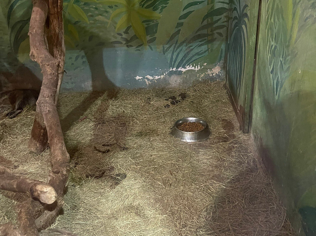 Centro Recreativo los faisanes-Villa de Garcia必去景点