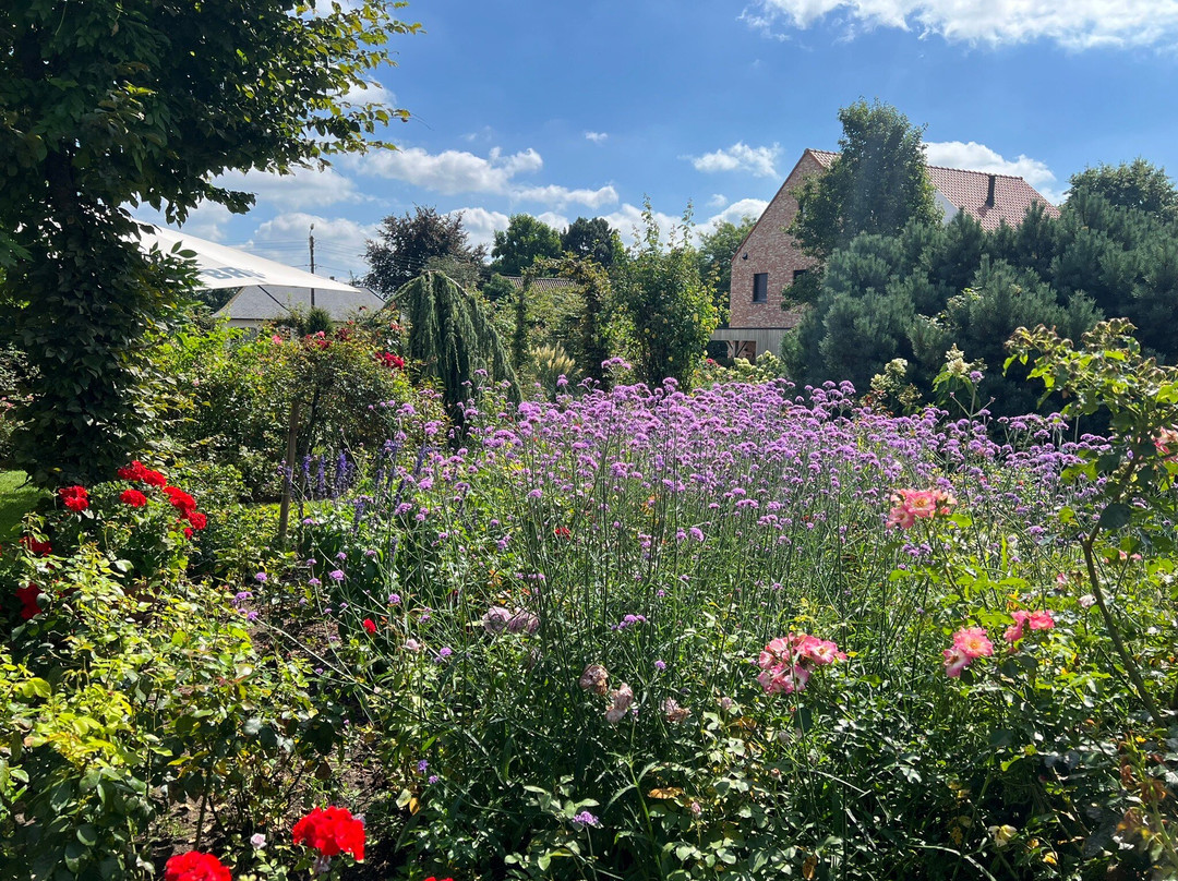 Rose Garden ADR Rosarium Geistinger Landhoff景点图片