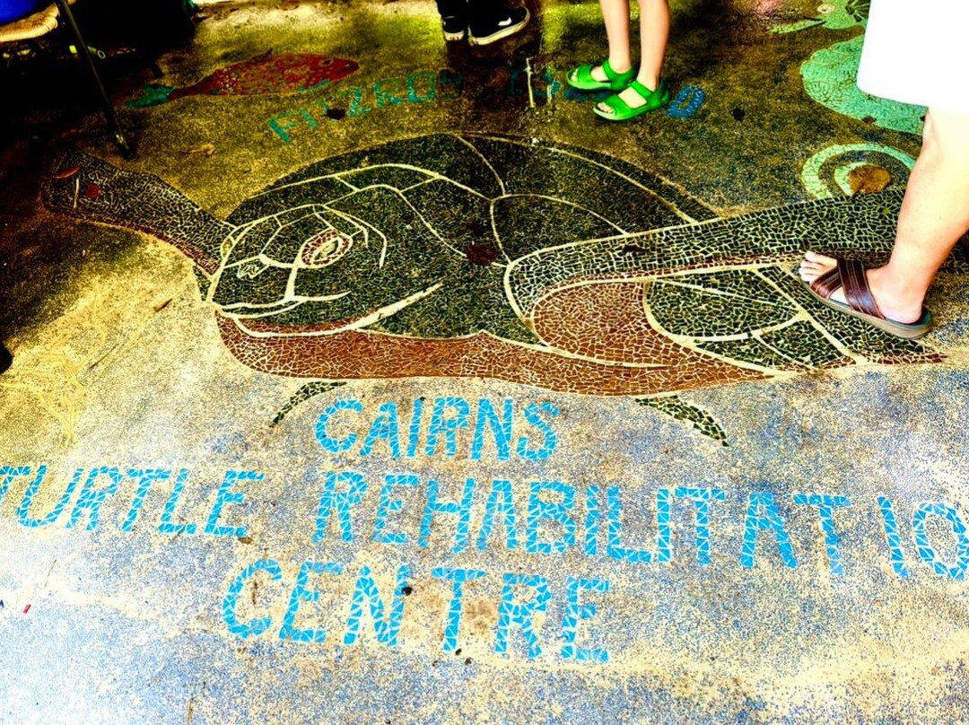 Fitzroy Island Turtle Rehabilitation Centre景点图片