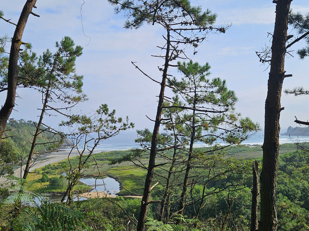Barayo Beach景点图片