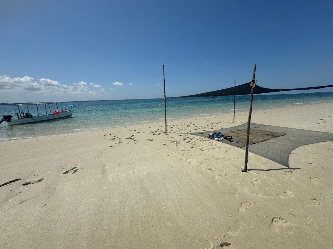 Reef Tour Mafia Island景点图片