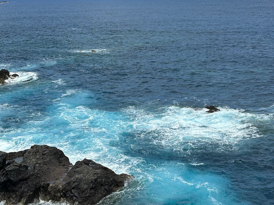 Madeira Happy Tours-沙尔必去景点