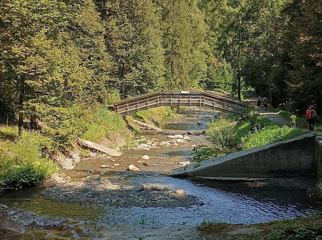 Cascade du Morel景点图片