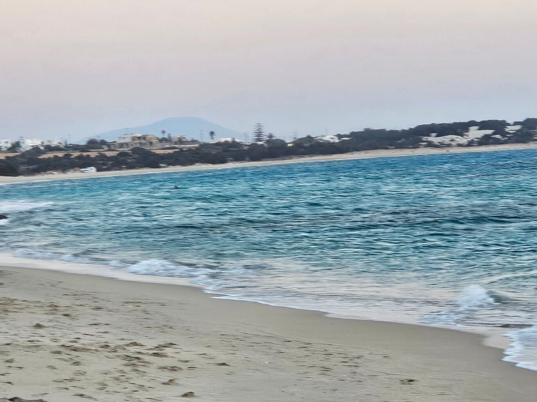 Dolphin Kastraki Studios & Apartments主图