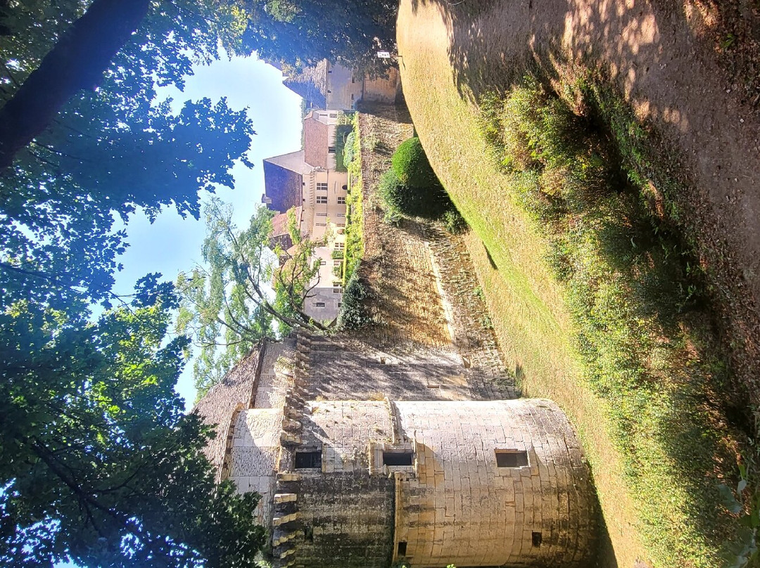 Château Et Jardins De Losse景点图片