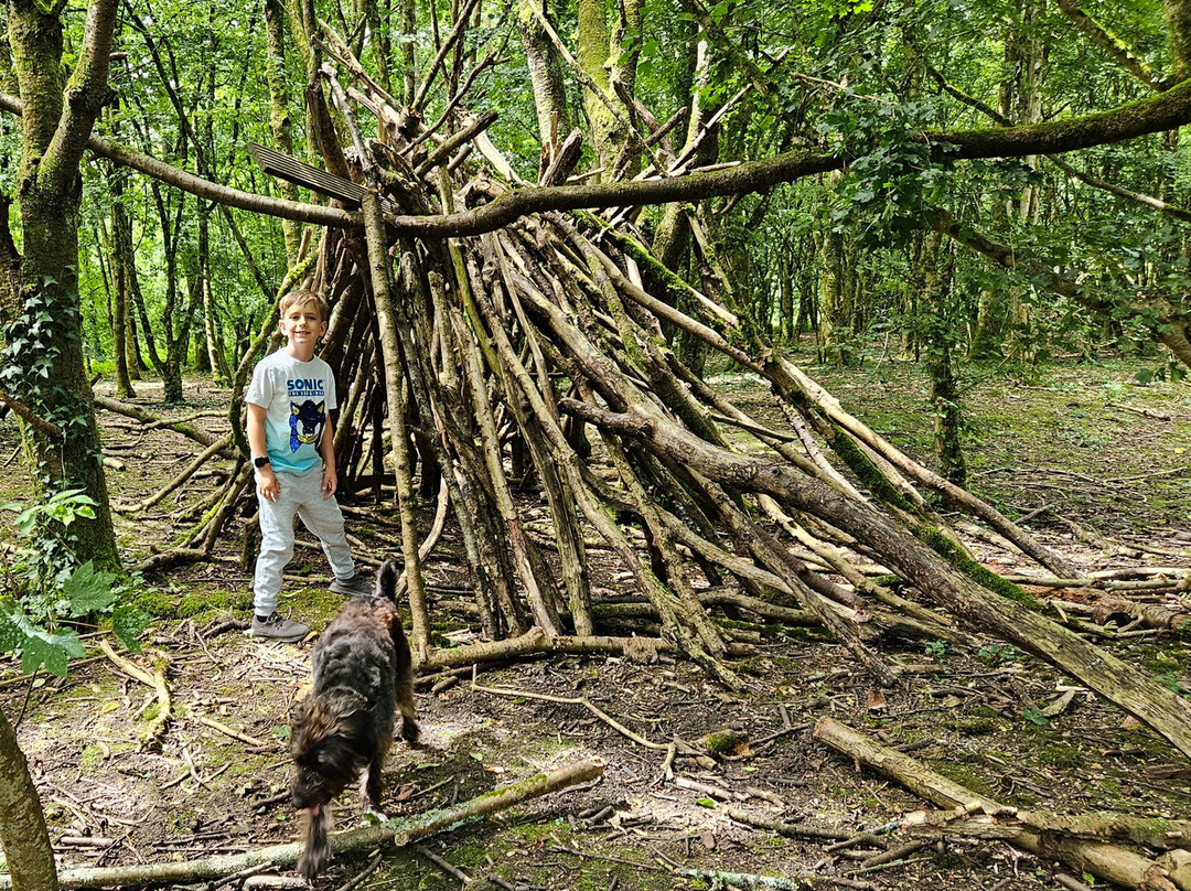 Cosmeston Lakes Country Park景点图片