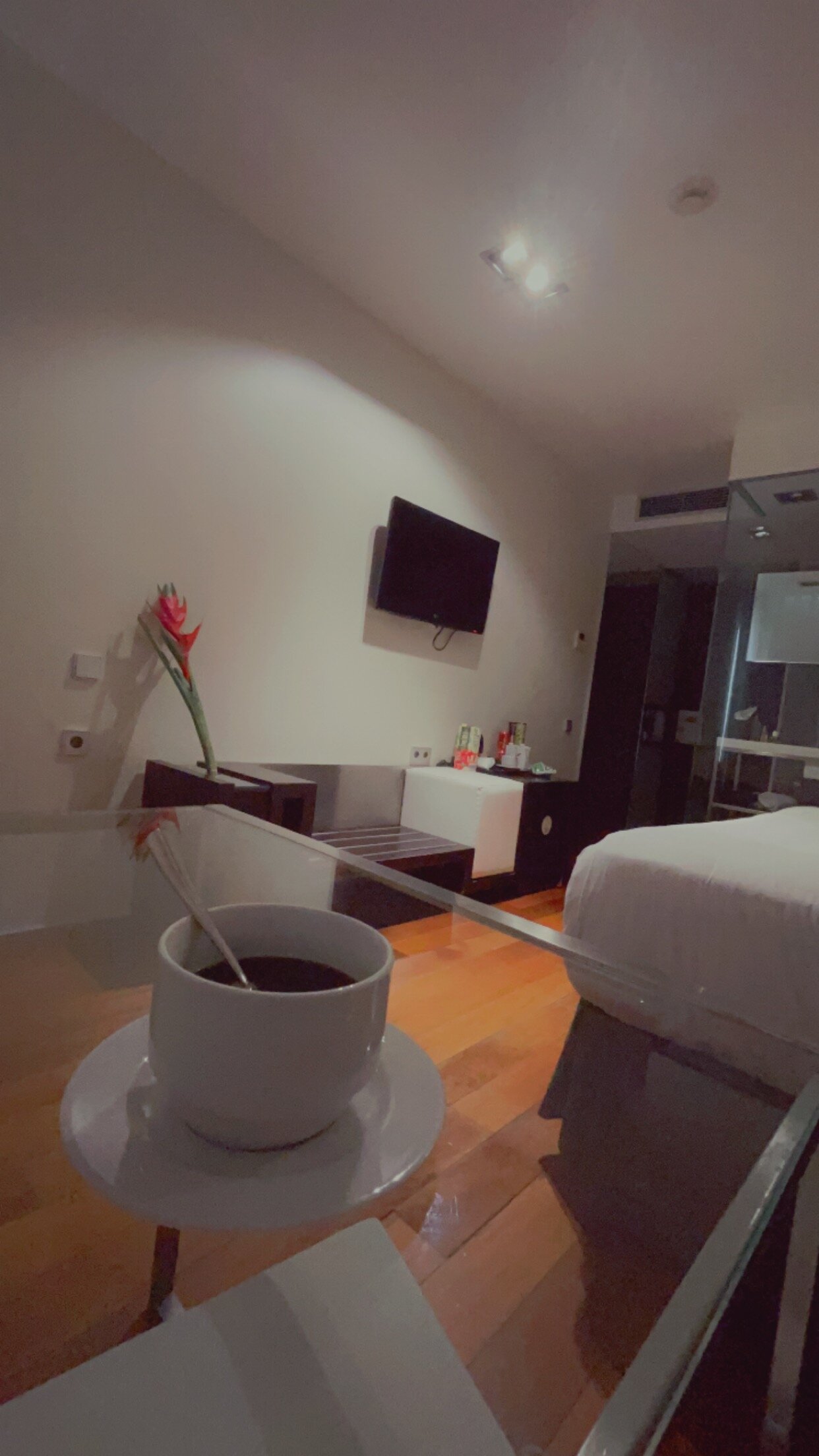 欧洲之星安格利酒店-客卧