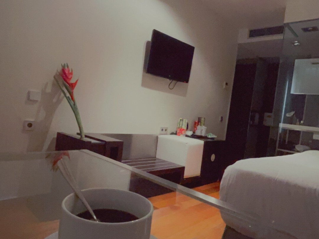 欧洲之星安格利酒店主图