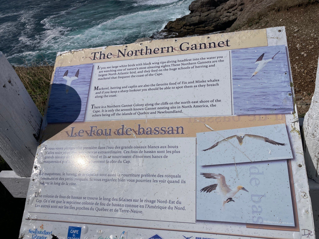 Cape St. George景点图片