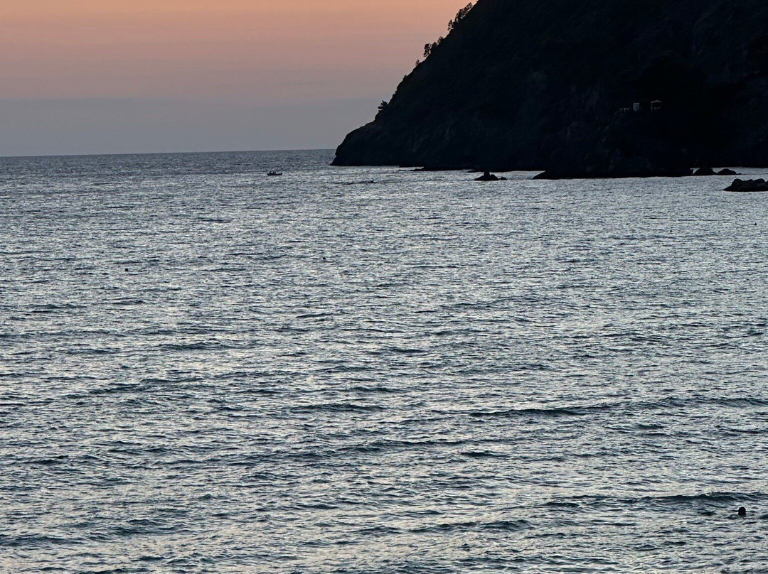Levanto Beach景点图片